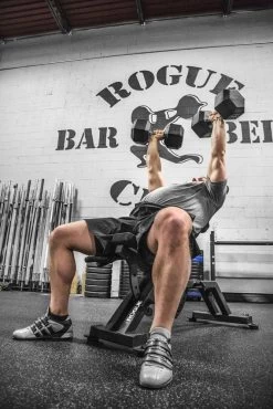 AB-2 Adjustable Bench -Rogue Fitness Online Sale AB 2 WEB3 fl7v2w