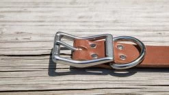 Rogue Leather Dog Collar -Rogue Fitness Online Sale DOGCOLLAR web3 vp3r2m