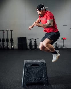 Rogue Resin Plyo Box -Rogue Fitness Online Sale DPF0000 web1 twm0sv