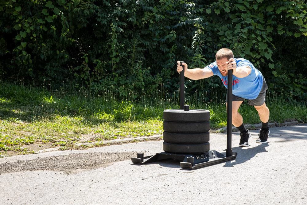 Rogue Echo Dog Sled 7 Rogue Echo Dog Sled - Image 5