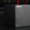 Rogue Echo Foam Games Box