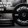 Rogue Echo Bumper Plates V2 -Rogue Fitness Online Sale IP0118 H k8re1p