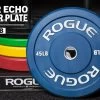 Rogue Color Echo Bumper Plates -Rogue Fitness Online Sale IP0119 H kqvjdu