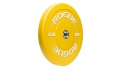 Rogue Color Echo Bumper Plates -Rogue Fitness Online Sale IP0119 WEB4 mzjdoi