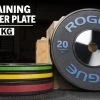 Rogue Black Training KG Plates