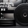 Rogue MIL Spec Echo Bumper