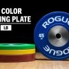 Rogue Color LB Training 2.0 Plates -Rogue Fitness Online Sale IP0510 H rg3uyo