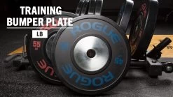 Rogue LB Training 2.0 Plates