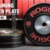 Rogue KG Training 2.0 Plates -Rogue Fitness Online Sale IP0513 H bvlojz