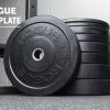 Rogue HG 2.0 KG Bumper Plates -Rogue Fitness Online Sale IP0515 h x6e66v