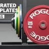 Rogue Calibrated KG Steel Plates -Rogue Fitness Online Sale IP0519 h lr2zpq
