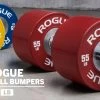 Rogue Dumbbell Bumpers