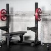 Rogue Monster Lite Competition Bench -Rogue Fitness Online Sale MLCOMPBENCH H otkufo