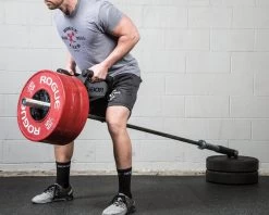 Rogue Parallel Landmine Handle -Rogue Fitness Online Sale PLANDMINE WEB4 xoicze