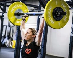 Rogue Stubby Axle -Rogue Fitness Online Sale RA0256 web2 mvqxxs