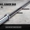 Rogue 10KG Junior Bar -Rogue Fitness Online Sale RA0713 BLBR h grqnp4