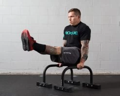 Rogue Bolt Together Parallette Set -Rogue Fitness Online Sale RA0979 WEB2 u9qmzw