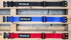 Rogue Nylon Dog Collar -Rogue Fitness Online Sale RA098 h aawm2o