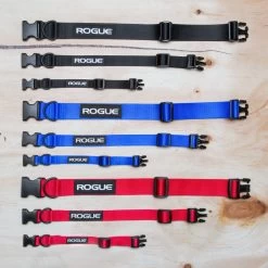 Rogue Nylon Dog Collar -Rogue Fitness Online Sale RA098 web 1 ddhl9v