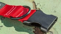 Rogue Nylon Dog Collar -Rogue Fitness Online Sale RA098 web 3 otpzkw