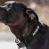 Rogue Nylon Dog Collar -Rogue Fitness Online Sale RA0980 BLACK H ekw69a