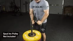 Rogue Tricep Push Down Attachment -Rogue Fitness Online Sale RA1048 web 3 twgxrs