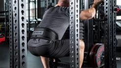 Rogue Monster Rhino Belt Squat - Drop-In -Rogue Fitness Online Sale RA1592 BLACK MG web10 dbfype