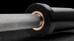 Rogue DB25-10 Loadable Dumbbell - Stainless -Rogue Fitness Online Sale RA2119 SSIL web4 pnmyhd