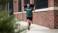 Rogue Sandbag 2.0 -Rogue Fitness Online Sale RA2210 web10 zflj0i