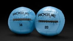 Rogue Color Medicine Balls