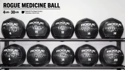 Rogue Medicine Balls