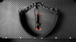 Rogue Multi Belt -Rogue Fitness Online Sale RS1010 WEB4 jkdqzb