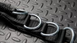 Rogue Multi Belt -Rogue Fitness Online Sale RS1010 WEB5 zt1z5e