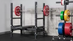 Rogue Westside Bench 2.0