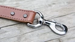 Rogue Leather Dog Leash -Rogue Fitness Online Sale WL0016 WEB1 mylldi