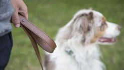 Rogue Leather Dog Leash -Rogue Fitness Online Sale WL0016 WEB3 fz7akh