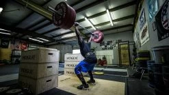 Rogue 8' X 8' Oly Platform -Rogue Fitness Online Sale XX12931 web3 e1ppv5