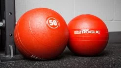 Rogue Echo Slam Balls