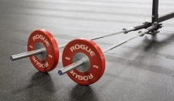 Rogue Landmines -Rogue Fitness Online Sale XX1765 WEB4 xhedcc