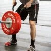 Rogue Landmine Handles -Rogue Fitness Online Sale XX3127 H abpygl