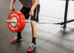 Rogue Landmine Handles -Rogue Fitness Online Sale XX3127 WEB2 cshcuj