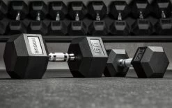 Rogue Dumbbells -Rogue Fitness Online Sale XX7125 WEB3 rglczm